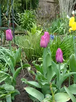 DSC02758.webp