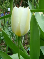 DSC02761.webp