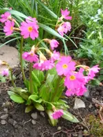 DSC02776.webp
