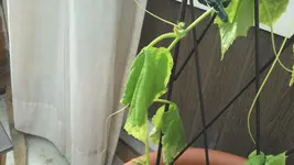 IMG_20130502_173159_400.webp