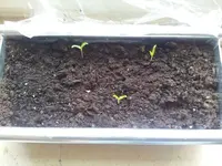 20130502_184630.webp