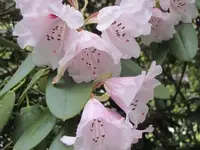 020.webp