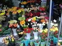 04 Ismene.webp 04 Ismene.webp