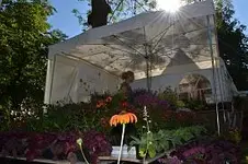 13 harzfeuer.webp