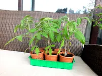 Balkon 003.webp