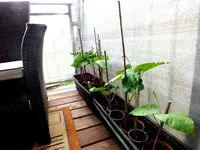 Balkon 004.webp