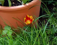 DSC_4678.2.webp