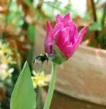 DSC_4713.2.webp