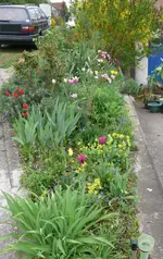 Blumenbeet.webp