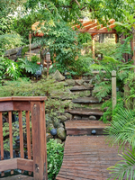 garten-ideen-tropisches-aussehen.webp