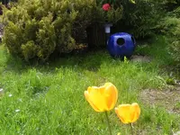 Kugel mit Tulpen 3.5.2013.webp