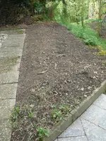 Schmuddelbeet4.webp