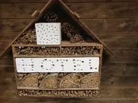 Insektenhotel_mit_Ytong.webp