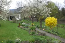 Garten 05 2013 013.webp