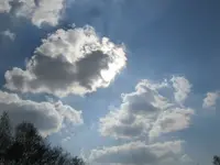 013.webp