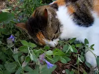 24-06-2011-101.webp