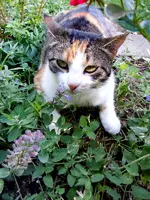 24-06-2011-105.webp