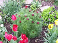 100_4922.webp