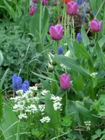 CIMG2973.webp