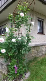 DSCF0969.webp