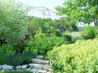 garten 029.webp