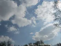 019.webp