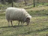 023.webp