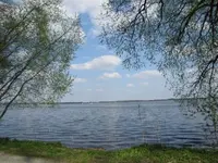 Pic 095.webp