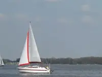 122.webp