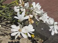 008.webp