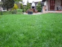IMG_1157.JPG