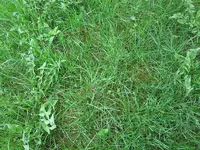 IMG_1159.webp