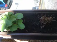 2013-05-04 14.20.29.webp