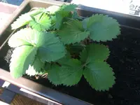2013-05-04 14.20.46.webp
