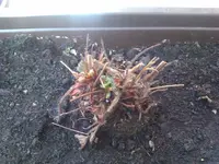 2013-05-04 14.20.52.webp