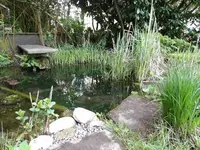 SAM_7296comp Teich_1.webp