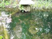 SAM_7305comp Teich_2.webp