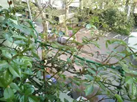 DSC_0687.webp