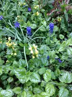 Bild 070.webp