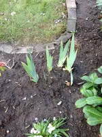 Bild 083.webp