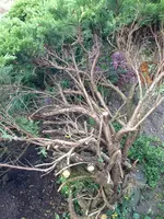 Bild 078.webp