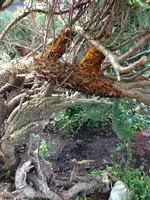 Bild 085.webp