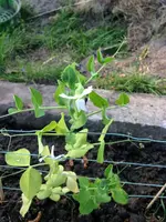 Bild 065.webp