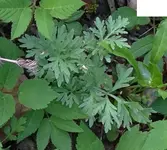Unbenannt-2.webp