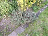 Bild 067.webp
