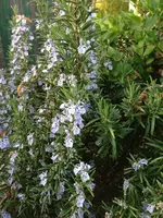 Bild 073.webp