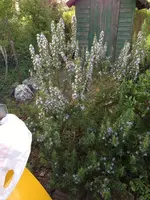 Bild 074.webp