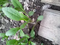 20130504_1852281600186519.webp