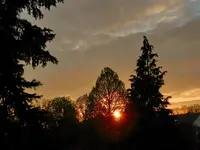 DSCN3568.webp