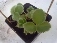 060520001043.webp